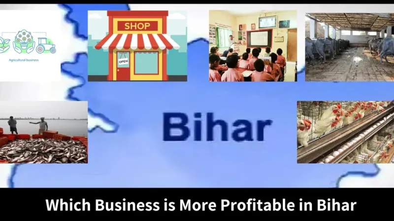 Finding Out Which Business is More Profitable in Bihar